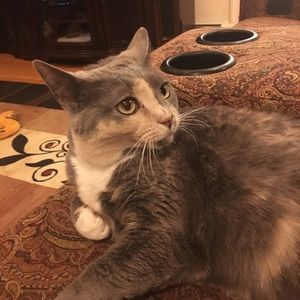 Meet your Posher, Ashley